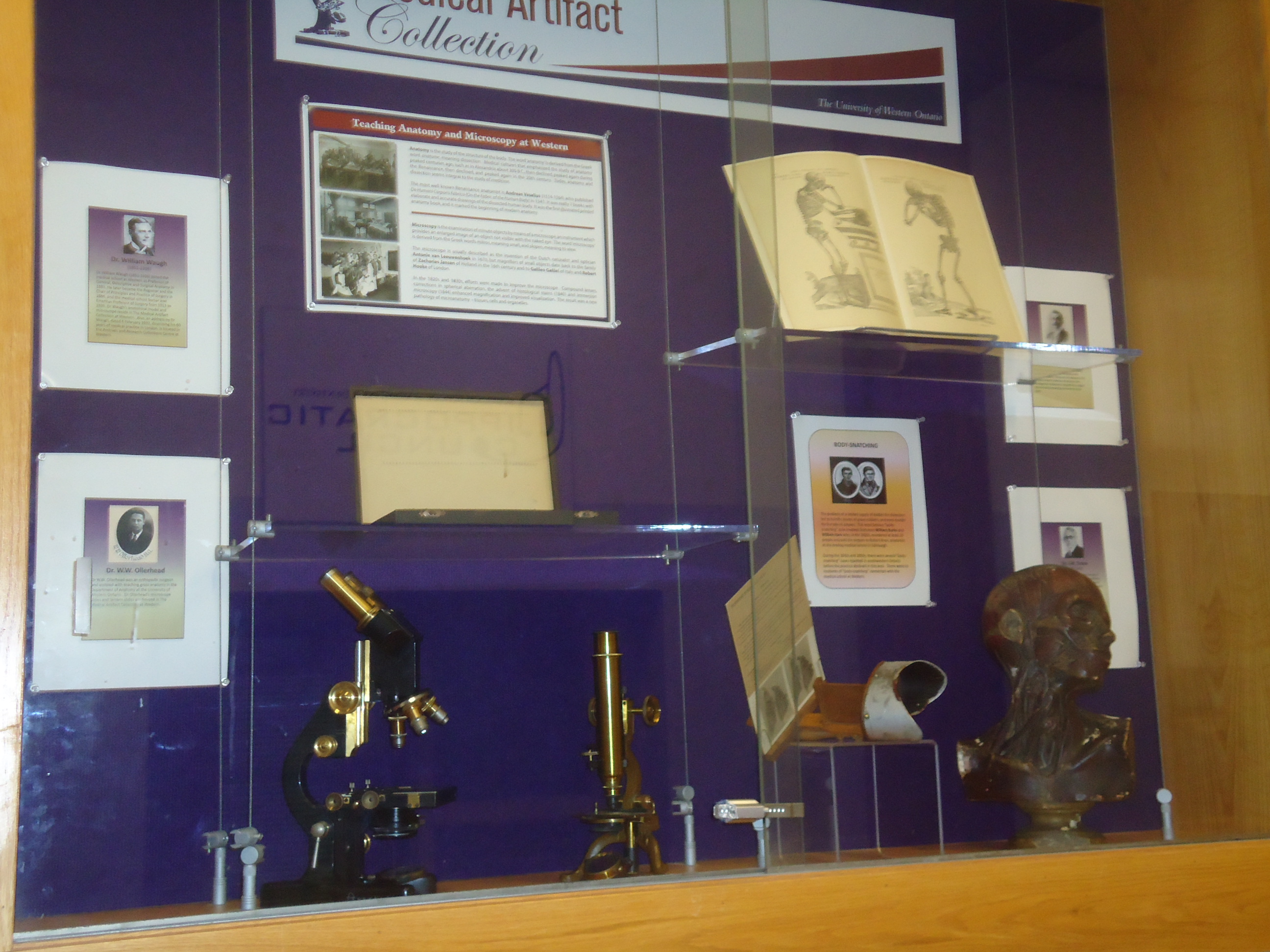 Display