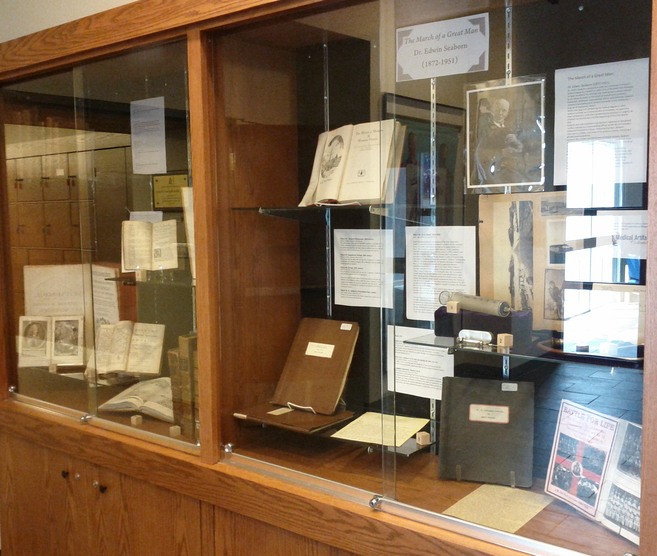 Seaborn display